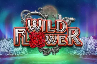 Demo play Big Time Gaming — Wild Flower