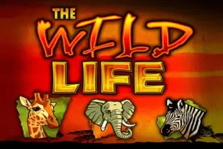 Demo play IGT — The Wild Life
