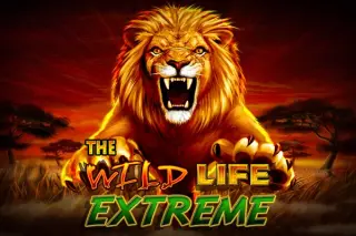 Demo play IGT — The Wild Life Extreme