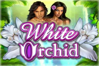 Demo play IGT — White Orchid