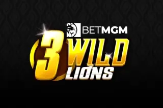 Demo play NetGaming — 3 Wild Lions