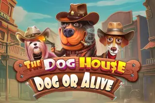 Demo play Pragmatic Play — The Dog House - Dog or Alive